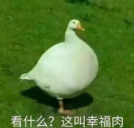网红大瓜搜索 抖音网红大鹅,揭秘网络红人的崛起之路