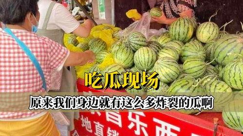 吃瓜炸裂 独家爆料,吃瓜炸裂！独家爆料揭秘娱乐圈惊天秘密